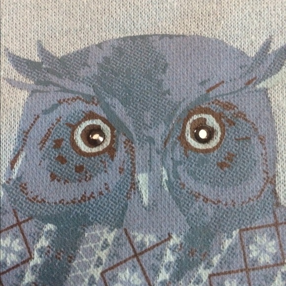 NWOT Size L Blue Northern Reflections Owl Sweatshirt - Picture 7 of 9